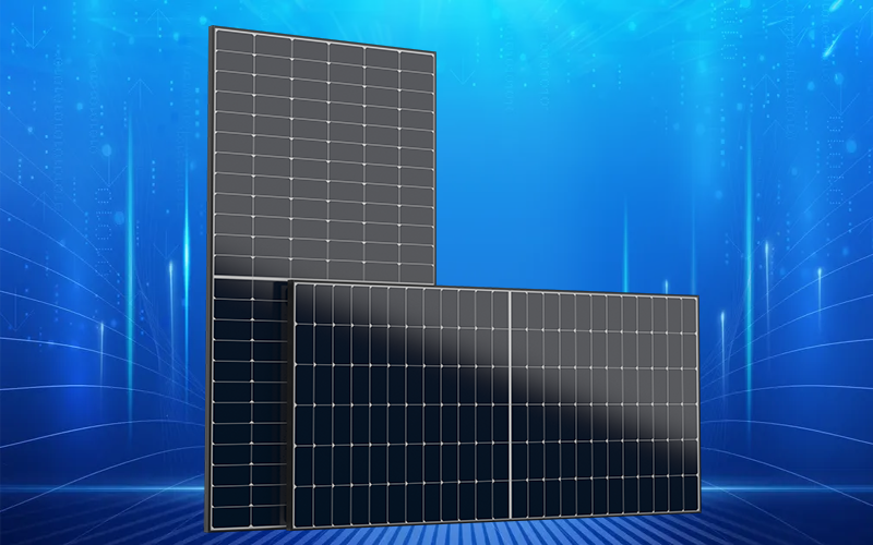 双效协同，高效转化